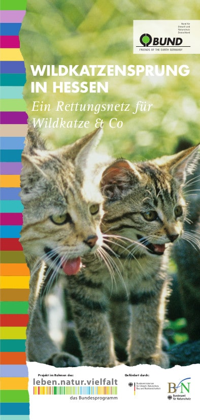 Wildkatzensprung in Hessen (Coverbild)