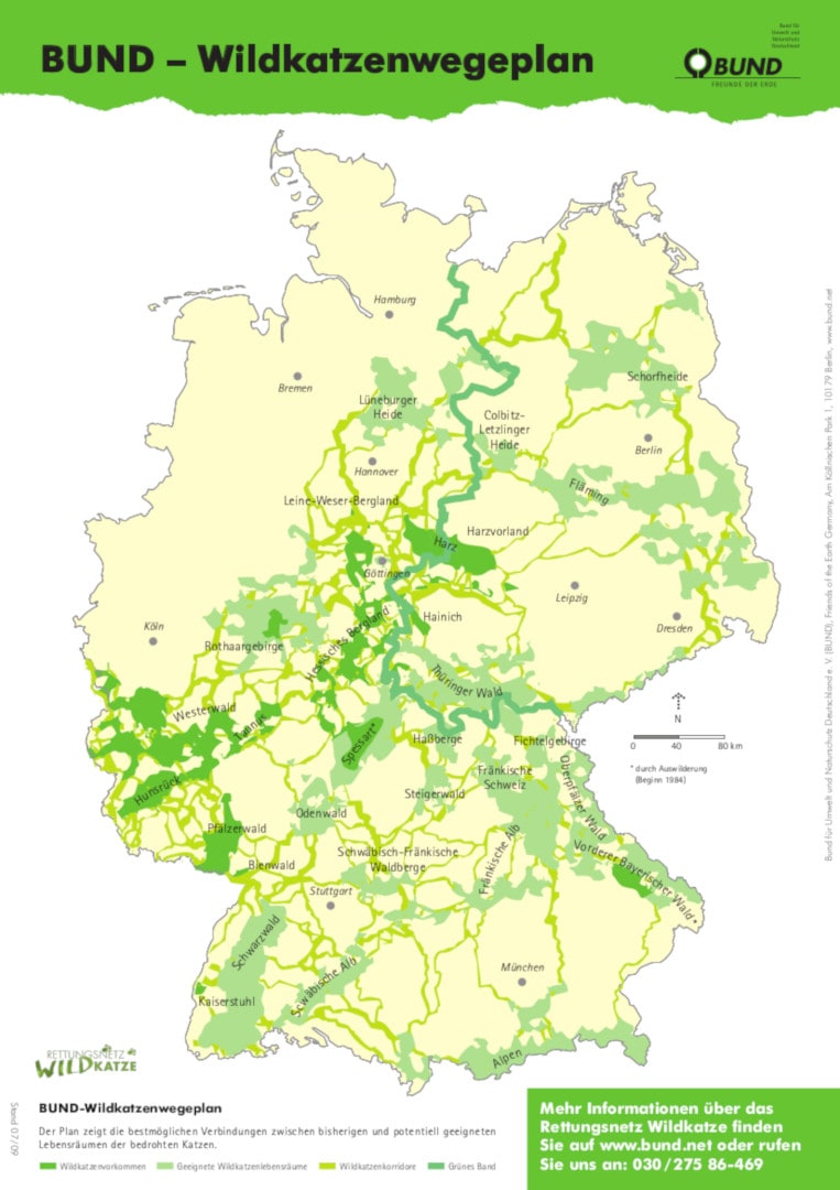 Wildkatzenwegeplan Deutschland (2009)