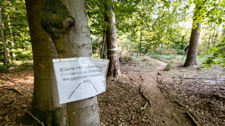 Schild zur Trassenmarkierung im Dannenröder Wald.
