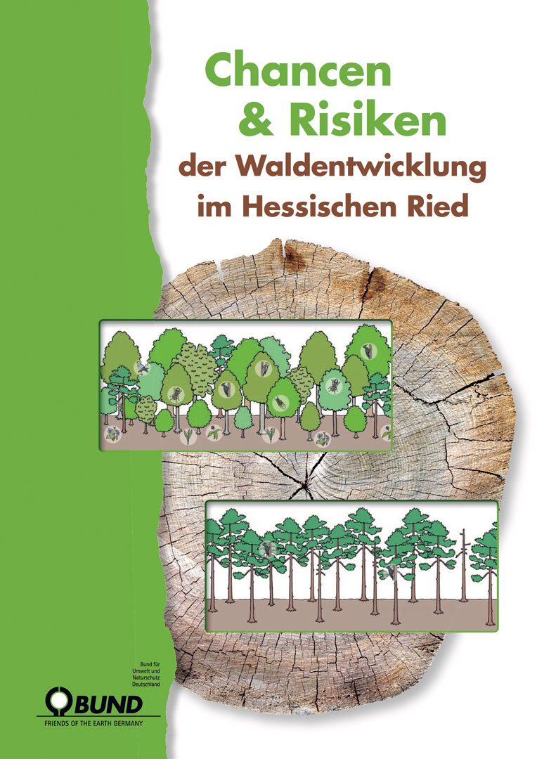 Broschüre „Chancen und Risiken für die Waldentwicklung im Hessischen Ried”