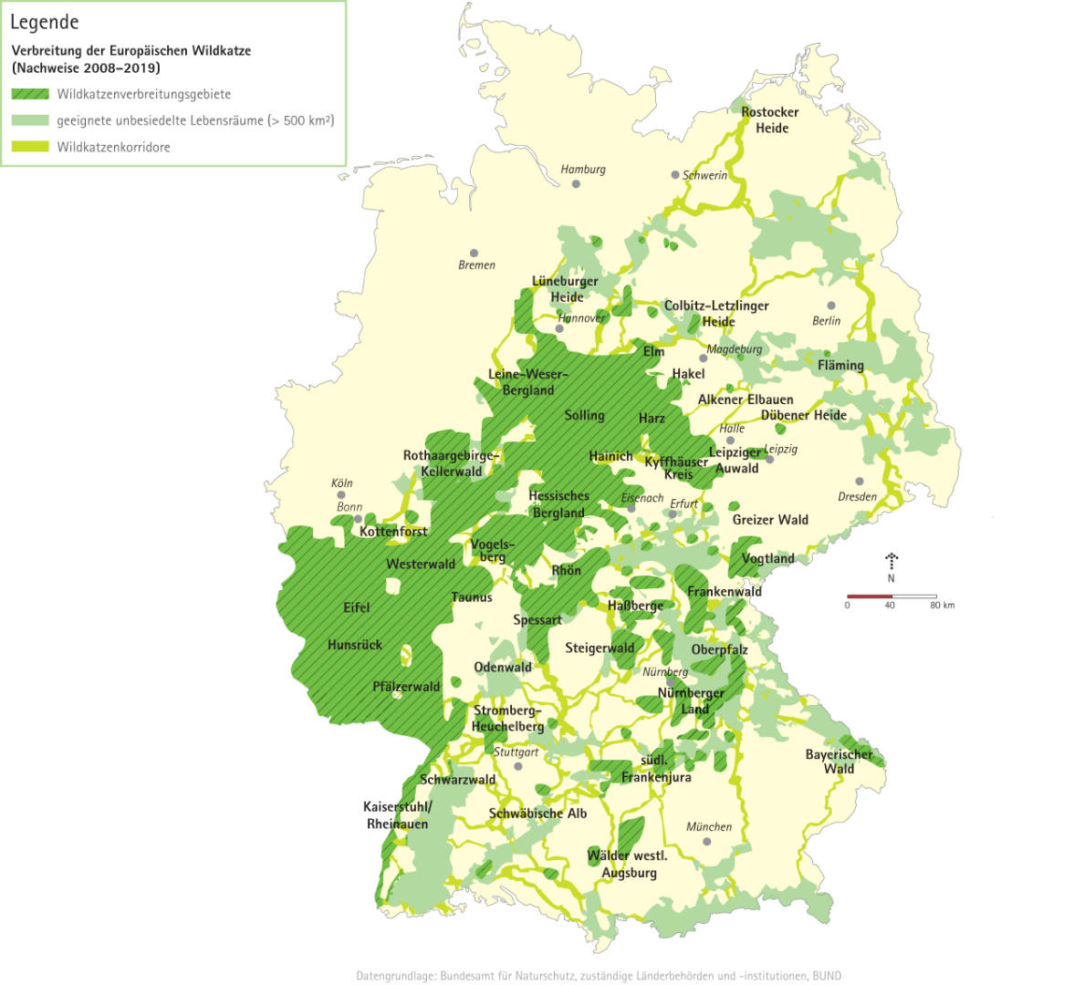Karte der Verbreitungsgebiete der Europäischen Wildkatze in Deutschland, potentielle Lebensräume und Korridore (Grafik: Die Projektoren / BUND)