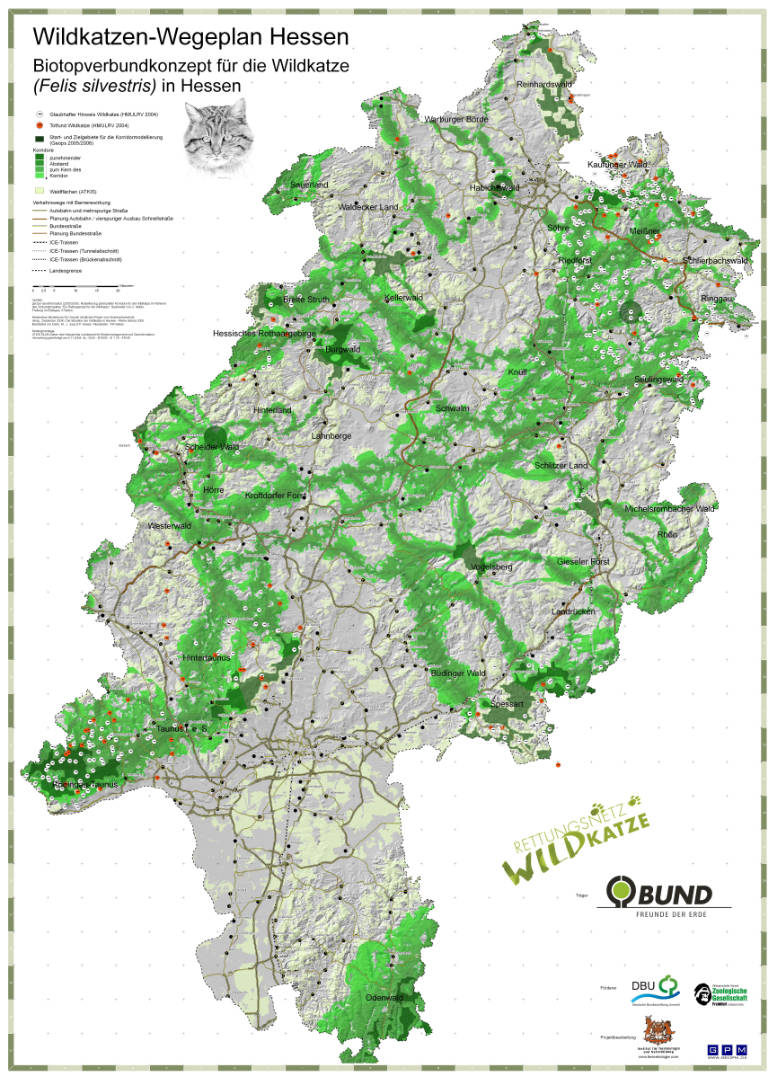Vorschau: Wildkatzenwegeplan Hessen 2007